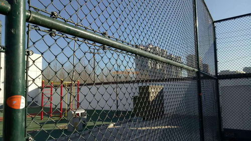 整車拓日護(hù)欄網(wǎng) 安平縣拓日絲網(wǎng)制品的防護(hù)網(wǎng)解決方案