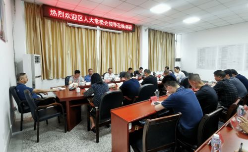 區(qū)人大常委會視察國有資產管理情況